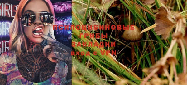 марки nbome Богданович