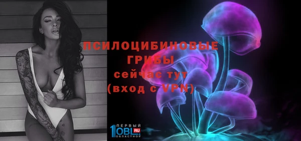 МДПВ Богородицк