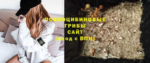 МДПВ Богородицк