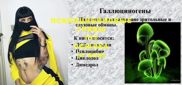 марки nbome Богданович