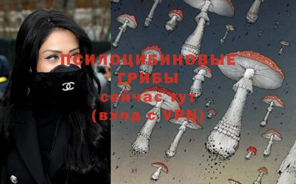 МДПВ Богородицк