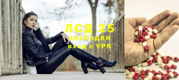 ПСИЛОЦИБИНОВЫЕ ГРИБЫ Сафоново