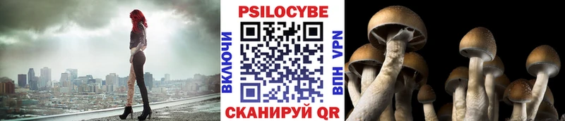 как найти закладки  Динская  Псилоцибиновые грибы Magic Shrooms 
